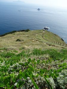 高茂岬1