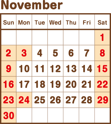 11月