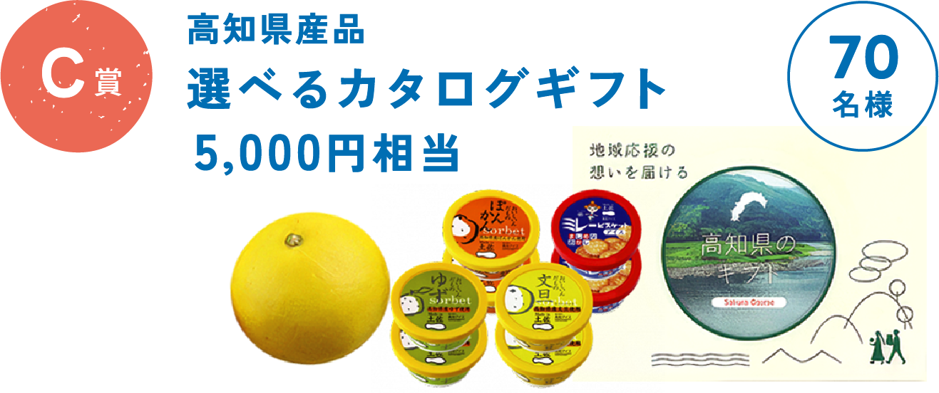 C賞 高知県産品 選べるカタログギフト5,000円相当 70名様