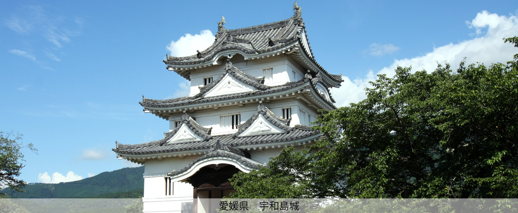 愛媛